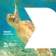 Akumal Single