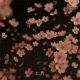 Natsukashii Single