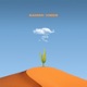 Dammi Vibes Single