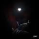 Falling in Love Again Single