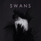 Swans feat Sarah Llewellyn Single