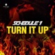 Turn It Up Single