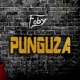 Punguza Single