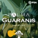 Guaranis Single