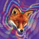 Furry Single