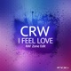 I Feel Love RAF Zone Edit Single