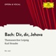 J S Bach Dir dir Jehova will ich singen BWV 452 Single
