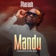 Mandu Single