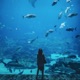 Just Keep Swimming Single