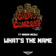 What s the Name feat Anisha Nicole Single