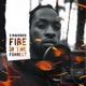 Fire in the Forest Single