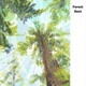 Forest Rest Single