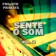 Sente o Som Vol 2