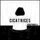 Cicatrices Single