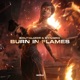Burn in Flames Single