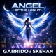 Angel of the Night Single