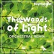 The Woods of Light From Rayman 2 Orchestral Remix Single
