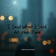I Said What I Said At The Time feat Nova Lune Single
