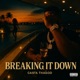 Breaking it down Single