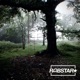 The Day You Arrive Single