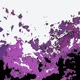 In the Picture Single
