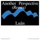 Another Perspective feat Idealism Luân Remix Single