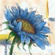 Blue Sunflowers feat Andy Abadi Single