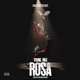 Rosa Single