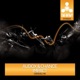 Impact Single