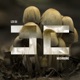 Mushrooms Single