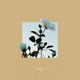 u can do all things feat Josh Coleman Single