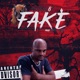 Fake Single