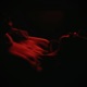 Noir Single
