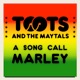 A Song Call Marley Single