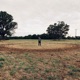 Wheelspin Single