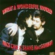 What a Wonderful World Single