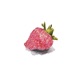 Seedless Strawberries Single