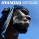 Stamina feat Nitsuj2 Santiago Senpai Single