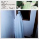 Dish Rag feat Young Wabo Single