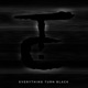 Everything Turn Black Single