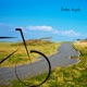 Broken bicycle Single
