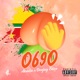 0690 feat Deejay Enzo Single