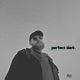 perfect dark Single