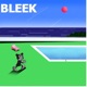 Bleek