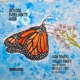 Bekool Brilliants 08 Single