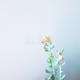 Noise EP