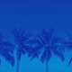 Miami Single