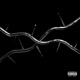 Don t Trip feat Scales Cali Single
