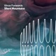 Silent Mountains Single