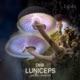 Luniceps Radio Edits Single